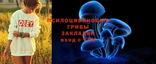 спиды Алексин