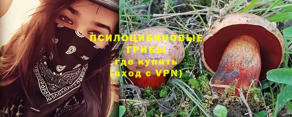 а пвп мука Алзамай