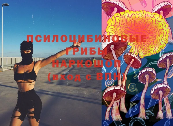 спиды Алексин